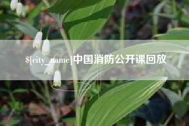 莘县中国消防公开课回放