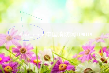 莘县中国消防网1190119