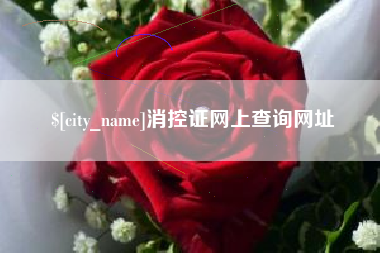 莘县消控证网上查询网址