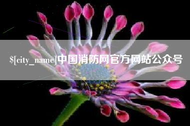 莘县中国消防网官方网站公众号
