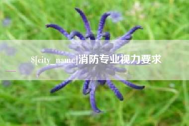 莘县消防专业视力要求