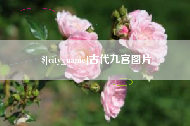 莘县古代九宫图片