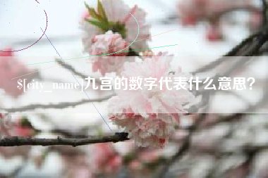 莘县九宫的数字代表什么意思？