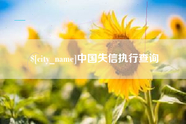 莘县中国失信执行查询