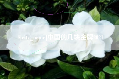 莘县中国的几块金牌2021