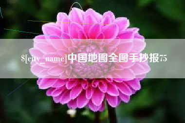 莘县中国地图全图手抄报75
