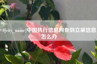 莘县中国执行信息网查到立案信息怎么办
