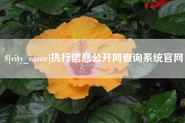 莘县执行信息公开网查询系统官网