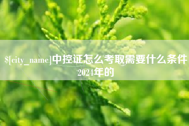 莘县中控证怎么考取需要什么条件2024年的