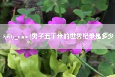 莘县男子五千米的世界纪录是多少