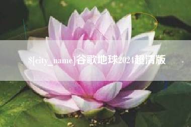 莘县谷歌地球2024超清版