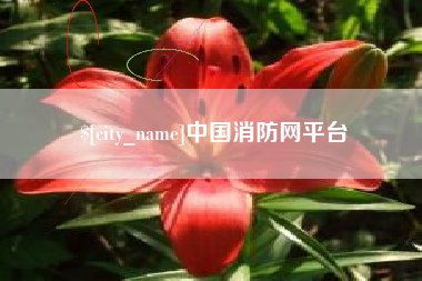 莘县中国消防网平台