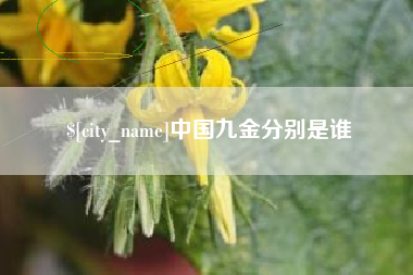 莘县中国九金分别是谁
