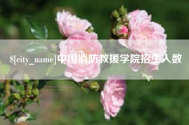 莘县中国消防救援学院招生人数