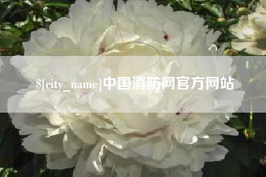 莘县中国消防网官方网站