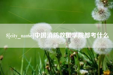 莘县中国消防救援学院都考什么