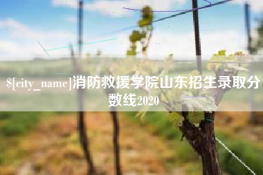 莘县消防救援学院山东招生录取分数线2020