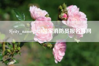 莘县2021国家消防员报名官网