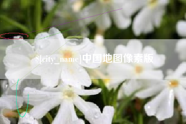 莘县中国地图像素版