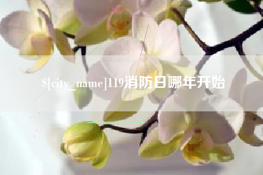 莘县119消防日哪年开始