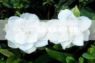 莘县中国地图高清版照片