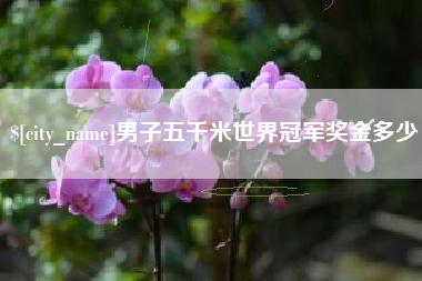 莘县男子五千米世界冠军奖金多少