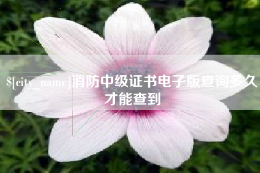 莘县消防中级证书电子版查询多久才能查到