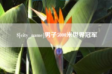莘县男子5000米世界冠军