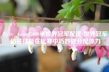莘县5000米世界冠军配速-世界冠军们往往能在比赛中巧妙地分配体力