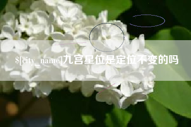 莘县九宫星位是定位不变的吗