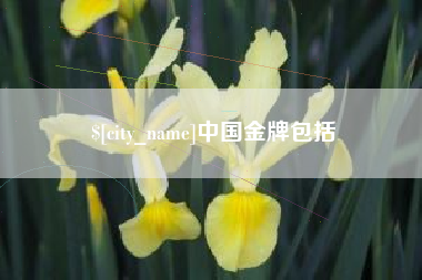 莘县中国金牌包括