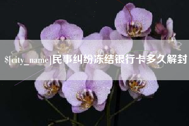 莘县民事纠纷冻结银行卡多久解封