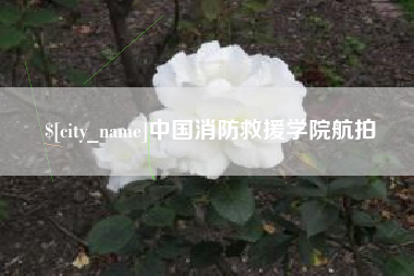 莘县中国消防救援学院航拍