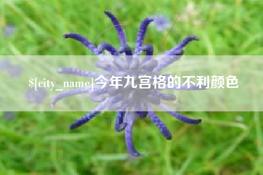 莘县今年九宫格的不利颜色