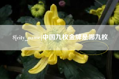 莘县中国九枚金牌是哪九枚