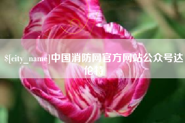 莘县中国消防网官方网站公众号达伦特