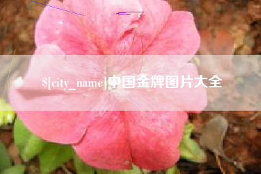 莘县中国金牌图片大全