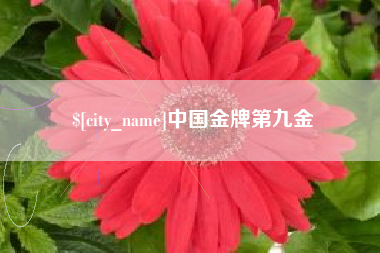 莘县中国金牌第九金