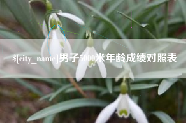 莘县男子5000米年龄成绩对照表