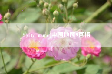 莘县中国地图9宫格