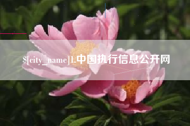 莘县1.中国执行信息公开网