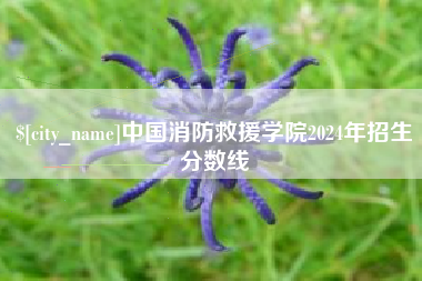 莘县中国消防救援学院2024年招生分数线