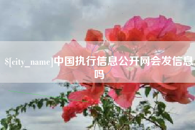 莘县中国执行信息公开网会发信息吗