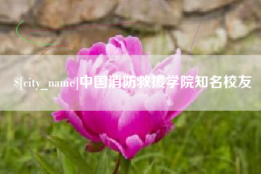 莘县中国消防救援学院知名校友