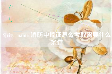 莘县消防中控证怎么考取需要什么条件
