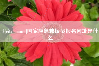莘县国家应急救援员报名网址是什么