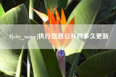 莘县执行信息公开网多久更新