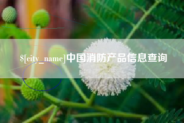 莘县中国消防产品信息查询