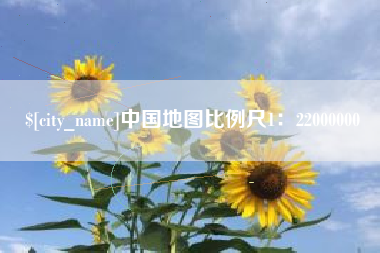 莘县中国地图比例尺1：22000000