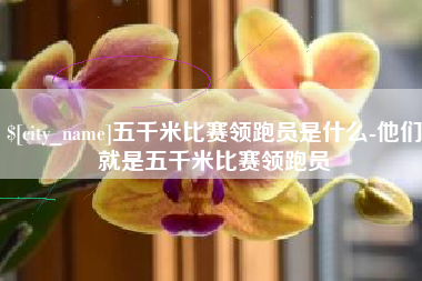 莘县五千米比赛领跑员是什么-他们就是五千米比赛领跑员